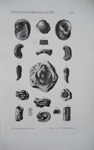 Russian mineralogy. 8 books. Notes of the Imperial St. Petersburg Mineralogical - Picture 3 of 10