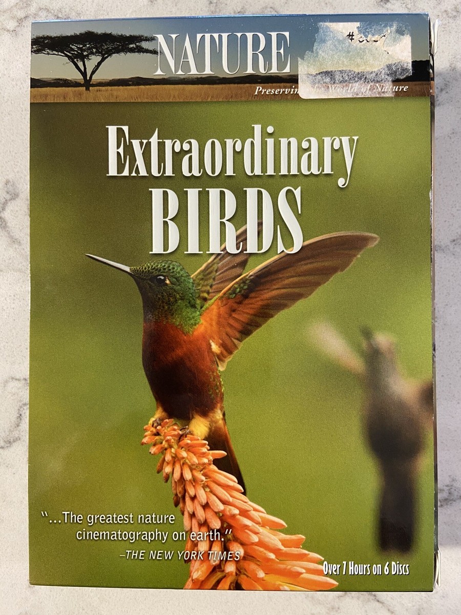 その他 Nature: Extraordinary Birds [DVD] Nature: Extraordinary Birds (DVD, 2011, 6-Disc Set