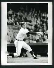 Al Kaline Who's Best In Sports 1965 Malcolm Emmons Press Photo Detroit Tigers