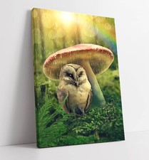 LITTLE OWL UNDER MUSHROOM RAINY FOREST CANVAS WALL ARTWORK PICTURE PRINT