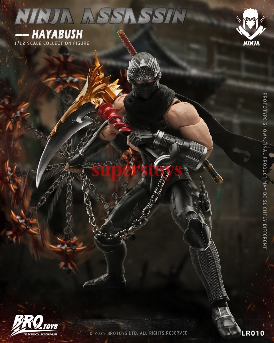 BROTOYS LR010 1/12 Ninja Assassin Falcon 6