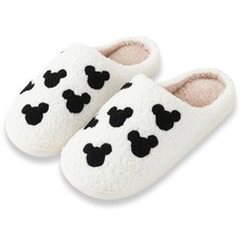 Cute Cartoon Slippers for Women Men, Memory Foam Plush Fuzzy