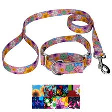 Country Brook Petz  Martingale Collar and Leash - Floral Collection