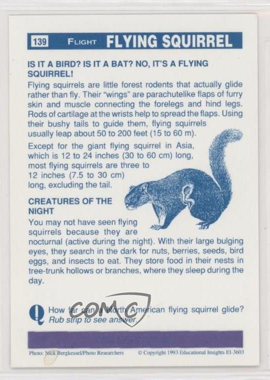 1993 Educational Insights FantastiCards Flying Squirrel #139 kr0
