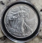 2020 American Silver Eagle Uncirculated 1oz .999 Fine Silver (D-11)