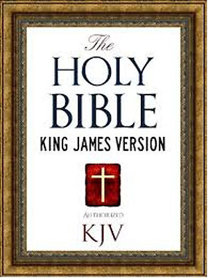 Die Bibel King James Version Audio DVD PDF MSword & 700+ Bilder 