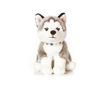 Husky Puppy Dog Plush Soft Toy - 23cm - Living Nature NEW