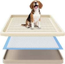 Dog Potty Tray Fits 22 X 22 in Pee Pad, Potty Training for Puppy Pad Holder
