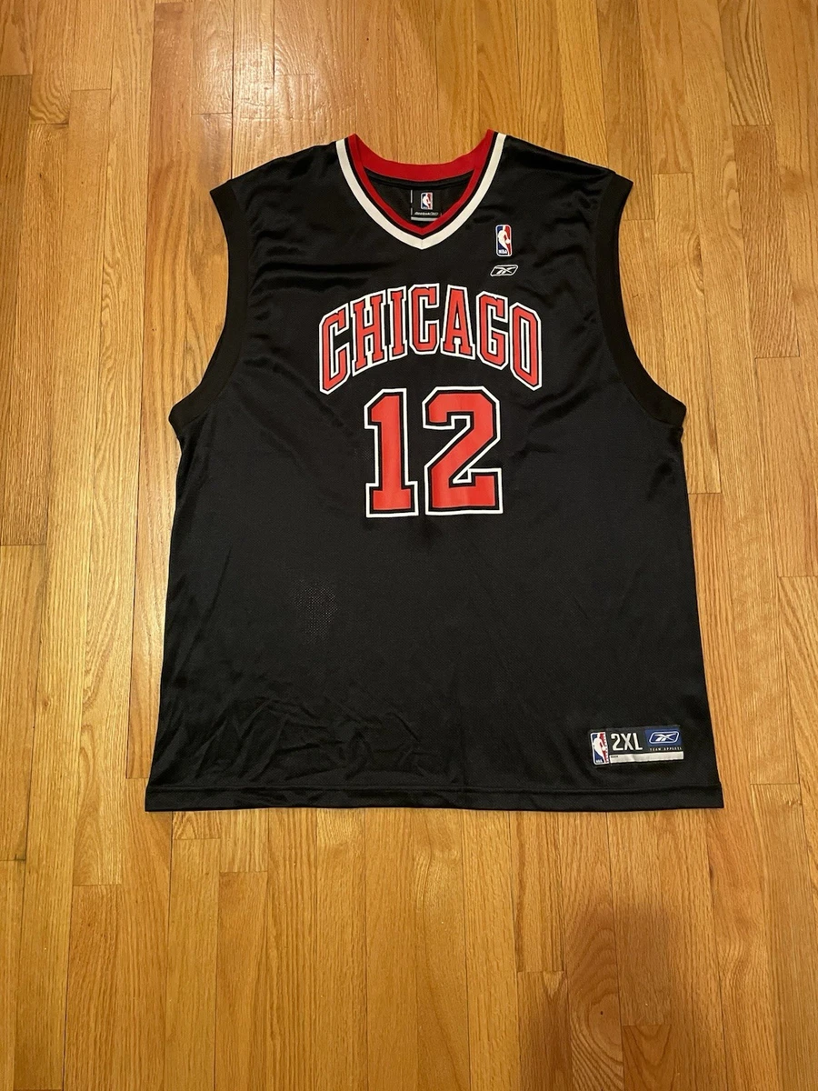 kirk hinrich jersey products for sale | eBay