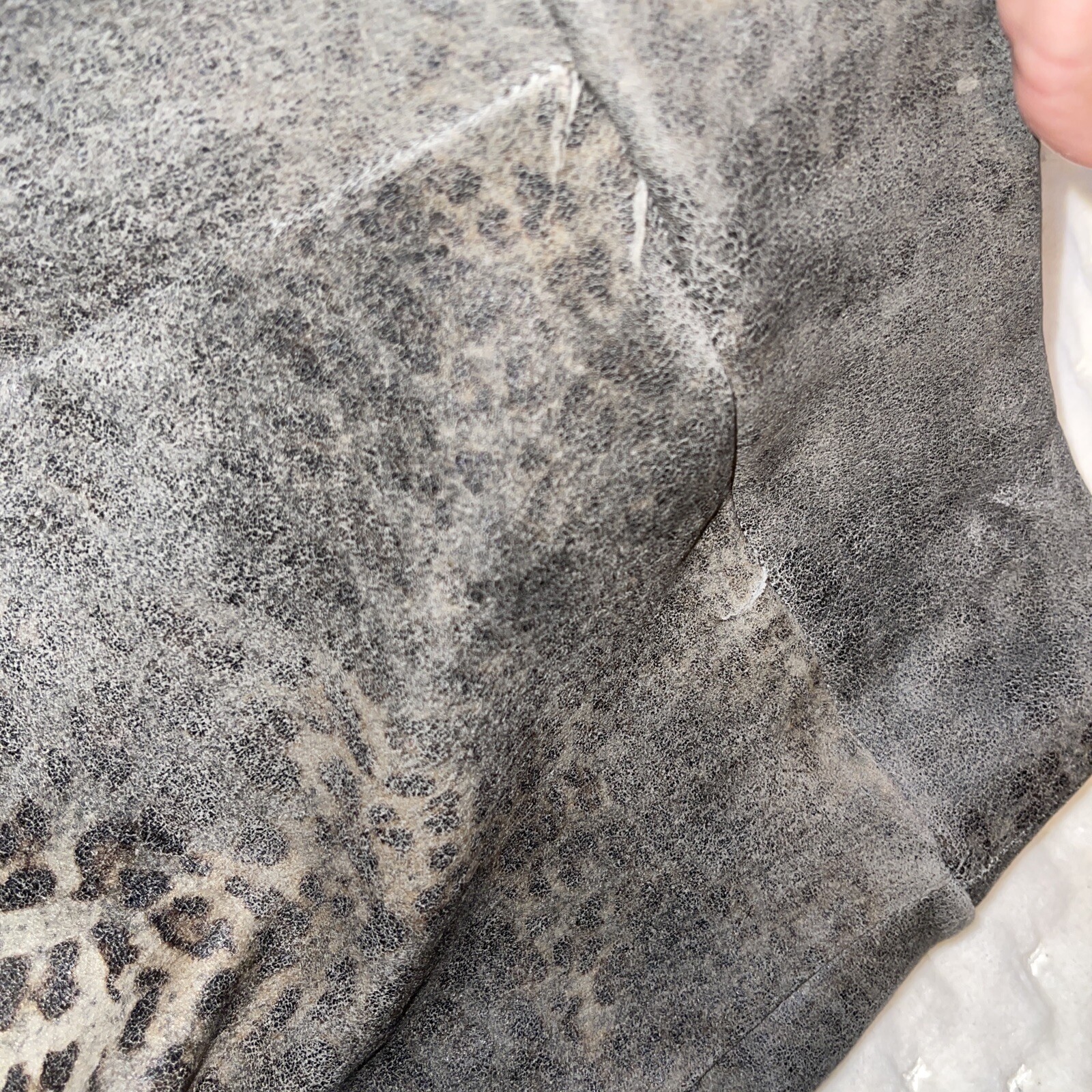 pat dahnke leather leggins eBay