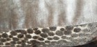 Bild 11 von 11