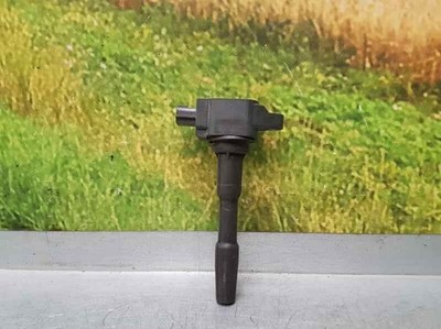224332428R Ignition Coil 4336319 RENAULT CLIO IV 0.9 TCE 2012