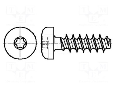 Torx Kopf: Zylinder Stahl 4x40 TX20 Schraube für Kunststoff