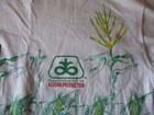 Picture 5 of 21
