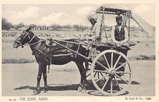 India - AGRA - The Ekka - Local cart