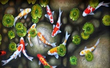 Hand Painted Oil Painting Feng Shui Koi Fish Landscapes on Canvas Art Home Decor