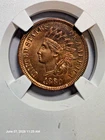 1880 Indian head penny, UNC RB