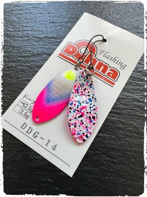 Angler z System Antem Dohna DDG 2022-14