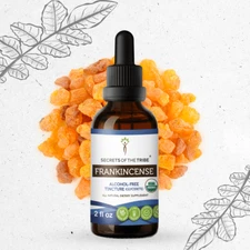 Secrets Of The Tribe Frankincense Tincture Alcohol-FREE
