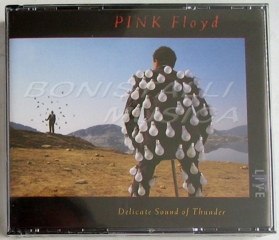 PINK FLOYD DELICATE SOUND OF THUNDER 2 CD EMI 0077779148028  JEWEL FATBOX Sealed