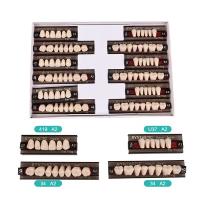 Dental Acrylic Resin Denture Teeth Upper Lower Anterior/Posterior Full Set Shade