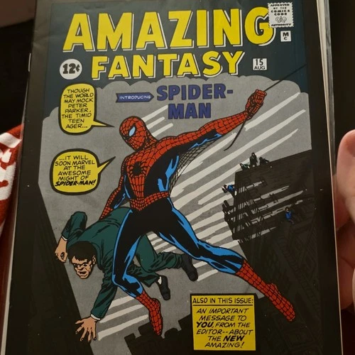 Marvel Comics Amazing Fantasy #15 Spider-Man Peter Parker Superheroes Comic Book