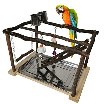 Tfwadmx Parrots Playstand Bird Play Gym Cockatiel Playground Wood Perch Stand...