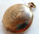 Elk Moose Antique Elgin 12 Size 20Y Gold Filled Hunter 15J Pocket Watch 4 REPAIR