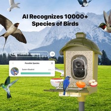 Smart Bird Feeder with Camera Solar Powered Bird Feeder Camera 2K AI Auto Captur
