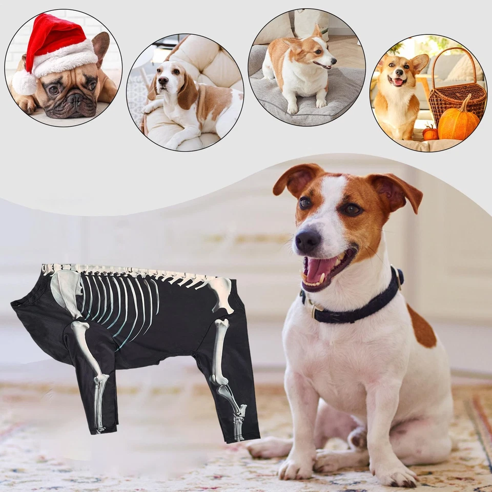 Halloween Esqueleto Perro Disfraz Ropa Decoración Sesiones de Fotos Accesorios Halloween Mascota Foto 4 de 4