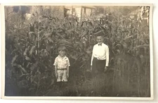 Vintage 1920s RPPC Postcard Two Young Boys Standing in a Corn Field