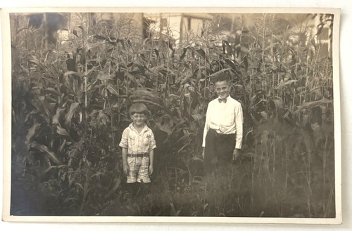 Vintage 1920s RPPC Postcard Two Young Boys Standing in a Corn Field - 第 1/2 張圖片