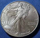 A 2024 $1 1-oz American Silver Eagle Star Privy Struck Through Error Reverse