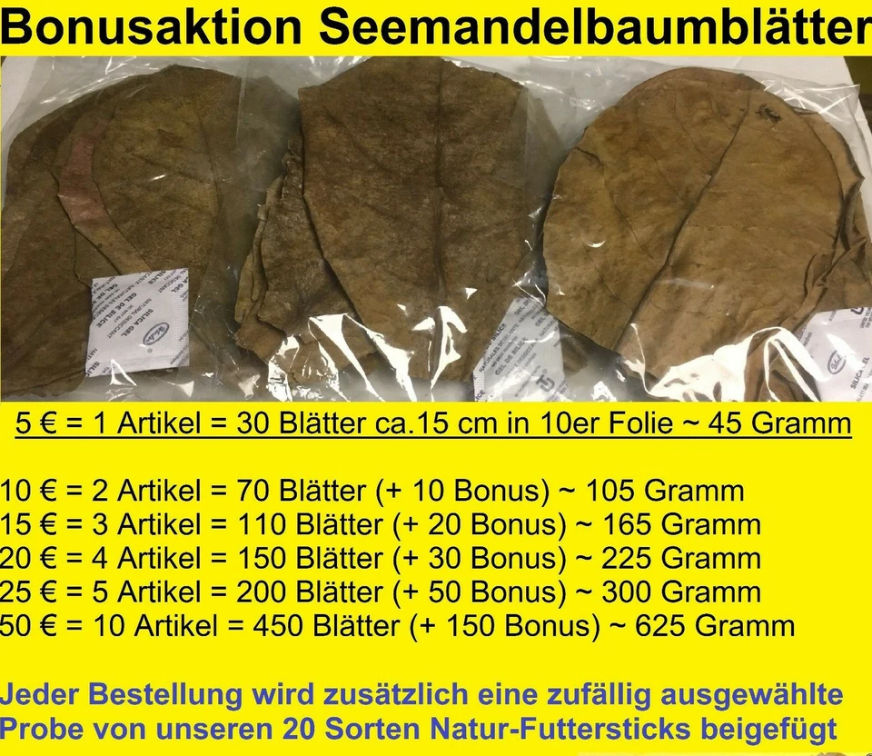 Seemandelbaumblätter BONUSAKTION BIS 50 % bei Catappa Leaves SMBB - Blitzversand - Bild 1 von 1