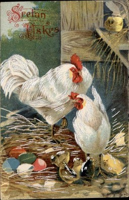 Easter White Rooster and Chicks Animals Embossed c1910s-20s Vintage Postcard