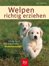 Welpen richtig erziehen ZUSTAND SEHR GUT