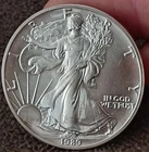 1989 Silver Eagle Dollar  1 OZ. .999 BU American Coin #535