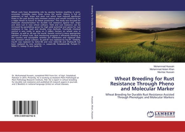 Wheat Breeding For Rust Resistance Through Pheno And Molecular Marker Muhammad H-image