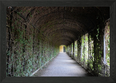 Green Evy: Schloss Schönbrunn gerahmtes Wandbild Poster Leinwanddruck Bild