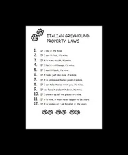 Italian Greyhound - CUSTOM MATTED - Dog Art Print - P/L