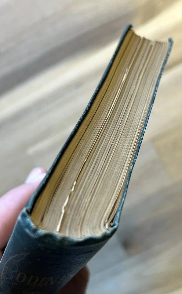 Bodines or Camping on the Lycoming 1879 Thad S. Up de Graff 1st Ed. RARE Foto 3 de 4