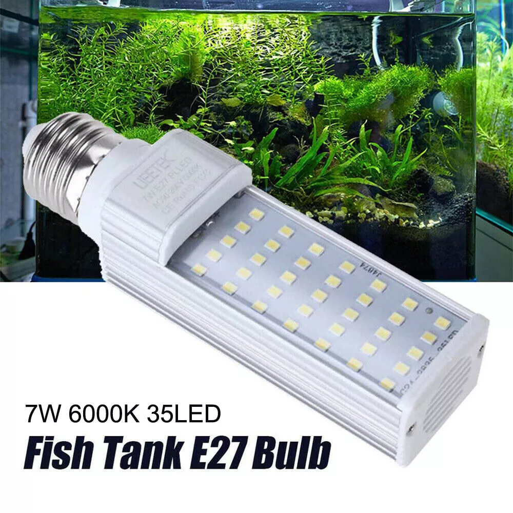 Fish tank store bulbs