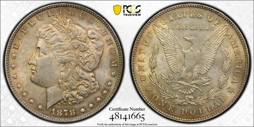 1878 7TF Reverse of 1878 PCGS AU58 Silver Morgan Dollar $1 Beautifully Toned