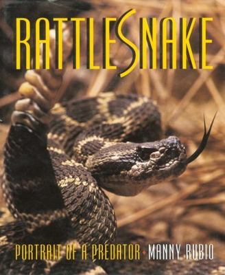 Rattlesnake - Portrait of a Predator -