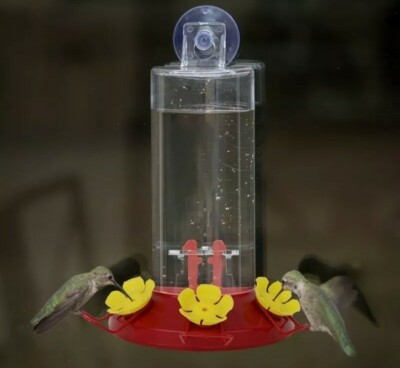  Hummingbird Plastic 8 oz. Window Mount Nectar Feeder 3 ports mfg 8018962