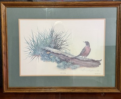 Vintage Signed David Freeman Robin s Spring Limited Print 42/500 Framed Bird