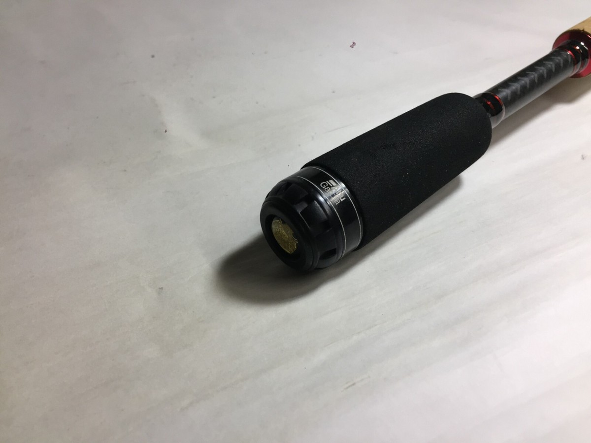 S8845) Abu Garcia Fantasista REGISTA FCR-70M MGS for Bait casting