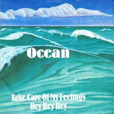 Ocean Take Care Of My Feelings Vinyl Single 7inch NEAR MINT Schnoutz Records