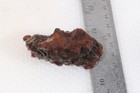 Argentine Condor Agate lapidary 2.9 oz. rough Lot 3k — photo 6