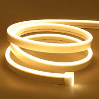 Lamomo Led Strip 2M, Warmweiss 12V Dimmbar Neon Led Streifen, Wasserdicht 3000K